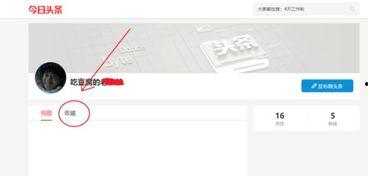 头条里面收藏去哪儿了,头条收藏功能去哪儿了？揭秘原因与解决方案