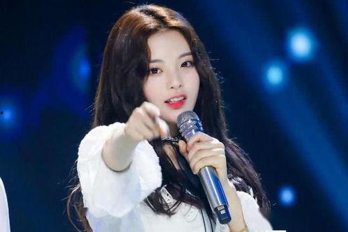 明星会用代言的,揭秘明星效应如何塑造品牌价值