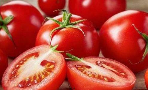 梦见吃大瓜西红柿,大瓜西红柿的奇幻之旅