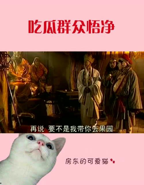 悟净吃瓜,揭秘佛门弟子与人间烟火的故事