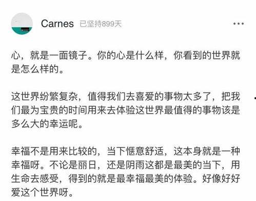 网红90后的生活小说,梦想与现实交织的青春篇章