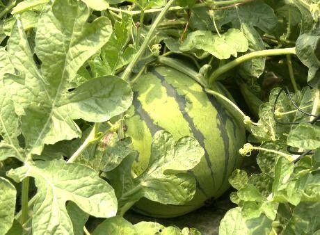 博君吃瓜,揭秘娱乐圈背后的那些事儿