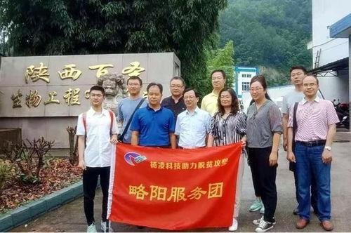 陕西杨凌县今日头条事件,揭秘陕西农业科技新城的争议焦点