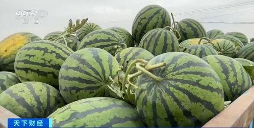 512热点网红吃瓜