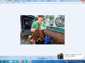 头条搜索图片无法保存,原因解析及解决方案