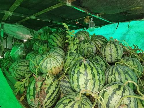 集梦116吃瓜爆料,娱乐圈吃瓜大事件幕后真相