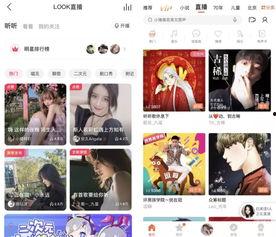 头条打赏排行哪里看,热门内容背后的打赏秘密