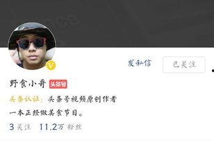 头条小说适合哪个领域写