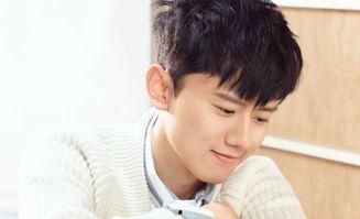 画明星张杰,音乐舞台上的璀璨星辰