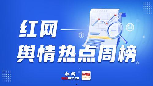 看爆料新闻,爆料新闻背后的惊人真相
