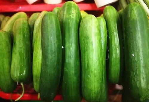 嫩京瓜怎么吃,解锁夏日清新美味