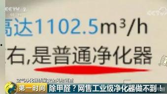 绍兴除甲醛网红,揭秘绿色家居新潮流