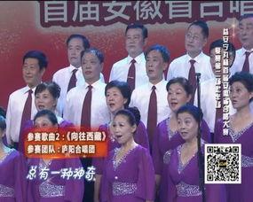 日本综艺每日大赛,日本综艺的竞技盛宴