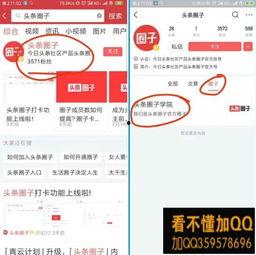 今日头条真题打卡,揭秘热门考点，助你高效备考！