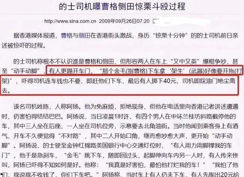 吃瓜新闻评述内容是什么,揭秘吃瓜新闻背后的真相与娱乐效应
